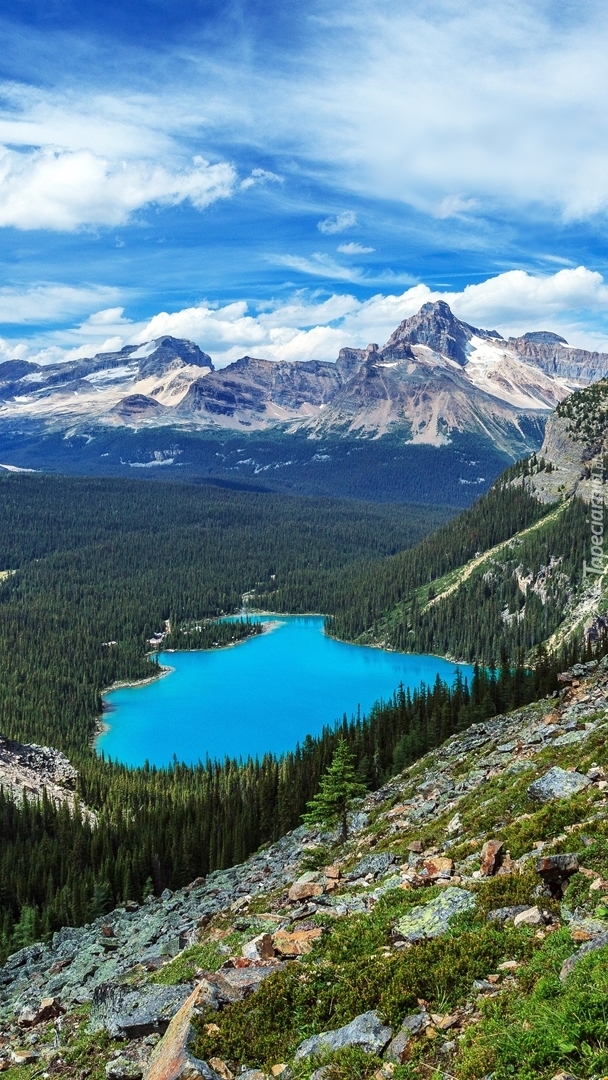 Jezioro O Hara w górach Canadian Rockies