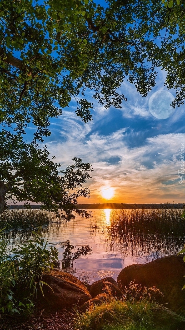 Jezioro o wschodzie słońca pod błękitnym niebem