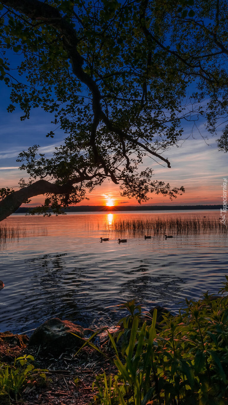 Jezioro o zachodzie słońca