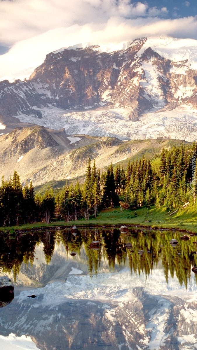 Jezioro otoczone lasem i górami