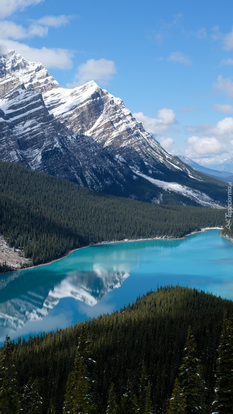 Jezioro Peyto Lake