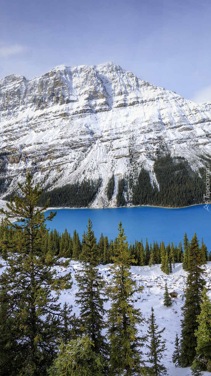 Jezioro Peyto Lake