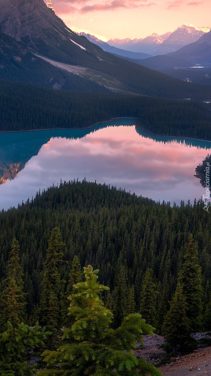 Jezioro Peyto Lake i Góry Canadian Rockies