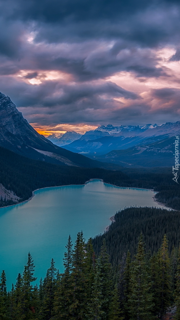 Jezioro Peyto Lake pod ciemnymi chmurami