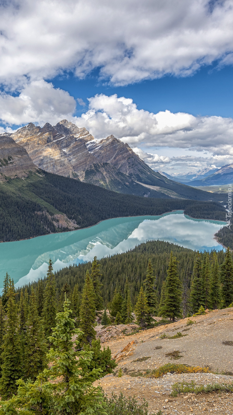 Jezioro Peyto Lake w górach Canadian Rockies