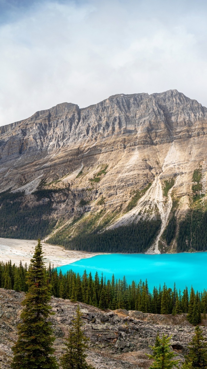 Jezioro Peyto Lake w górach Canadian Rockies