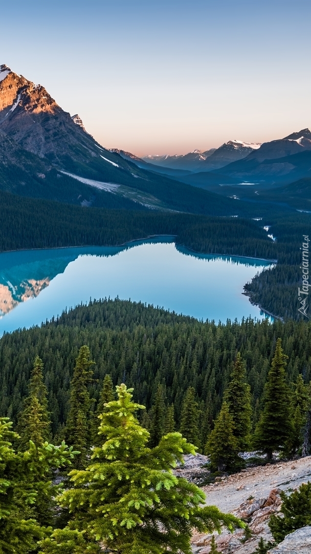 Jezioro Peyto Lake w górach Canadian Rockies