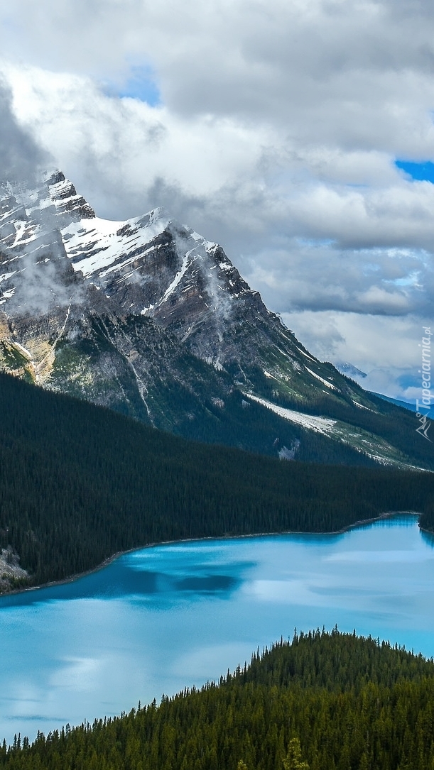 Jezioro Peyto Lake w górach