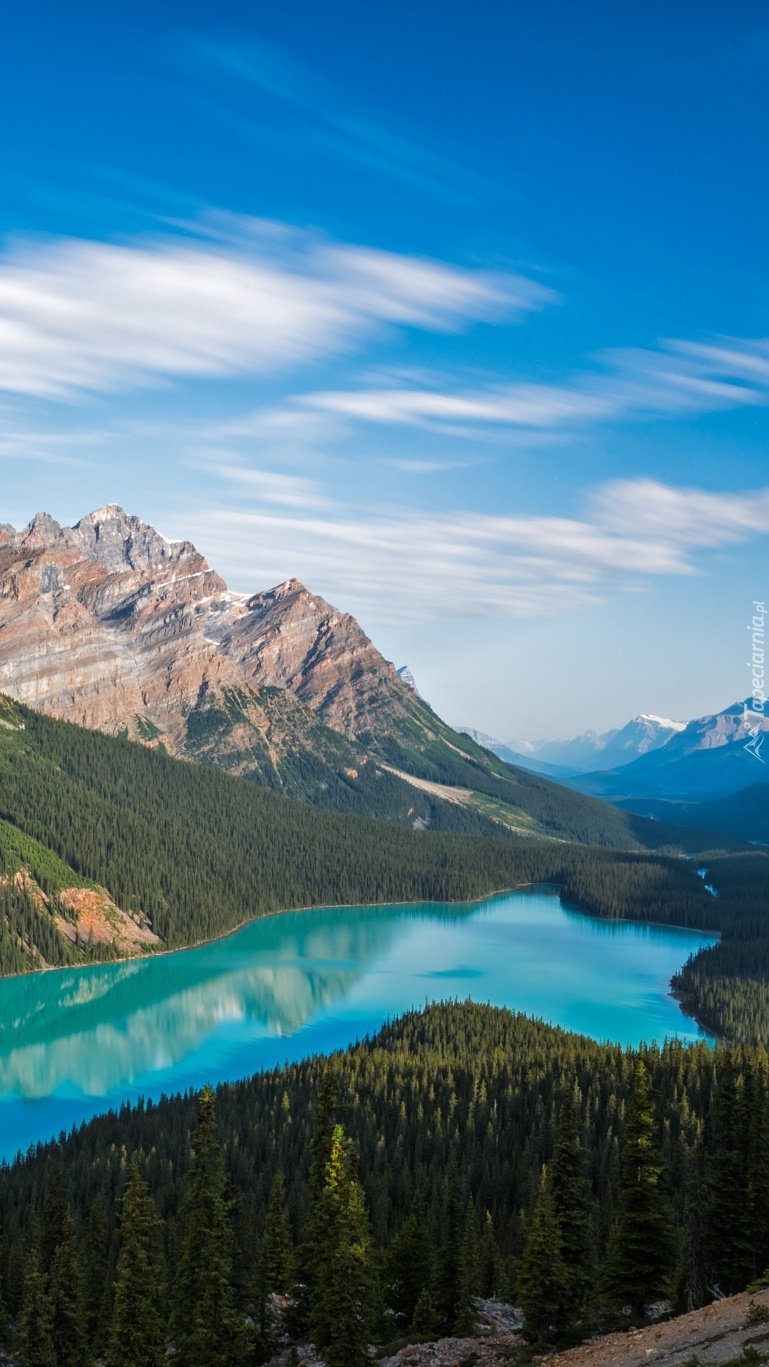 Jezioro Peyto Lake w Parku Narodowym Banff