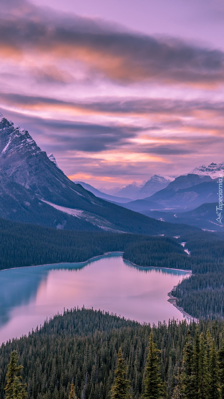 Jezioro Peyto Lake w Parku Narodowym Banff w Kanadzie