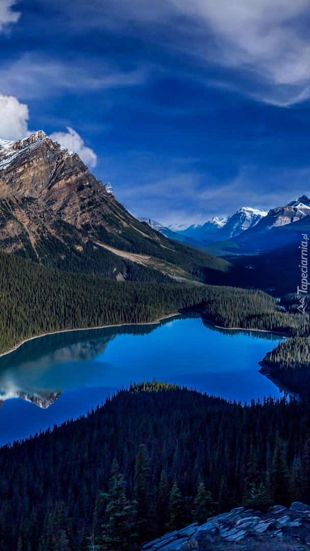 Jezioro Peyto Lake w Parku Narodowym Banff