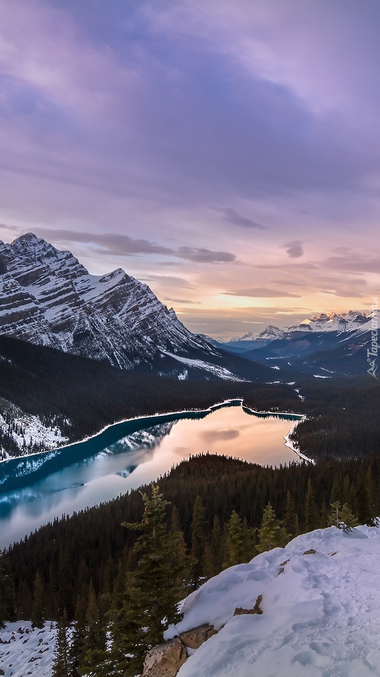 Jezioro Peyto Lake