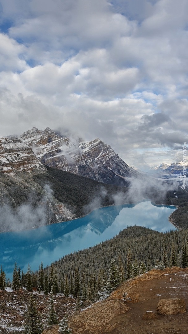 Jezioro Peyto w górach Canadian Rockies