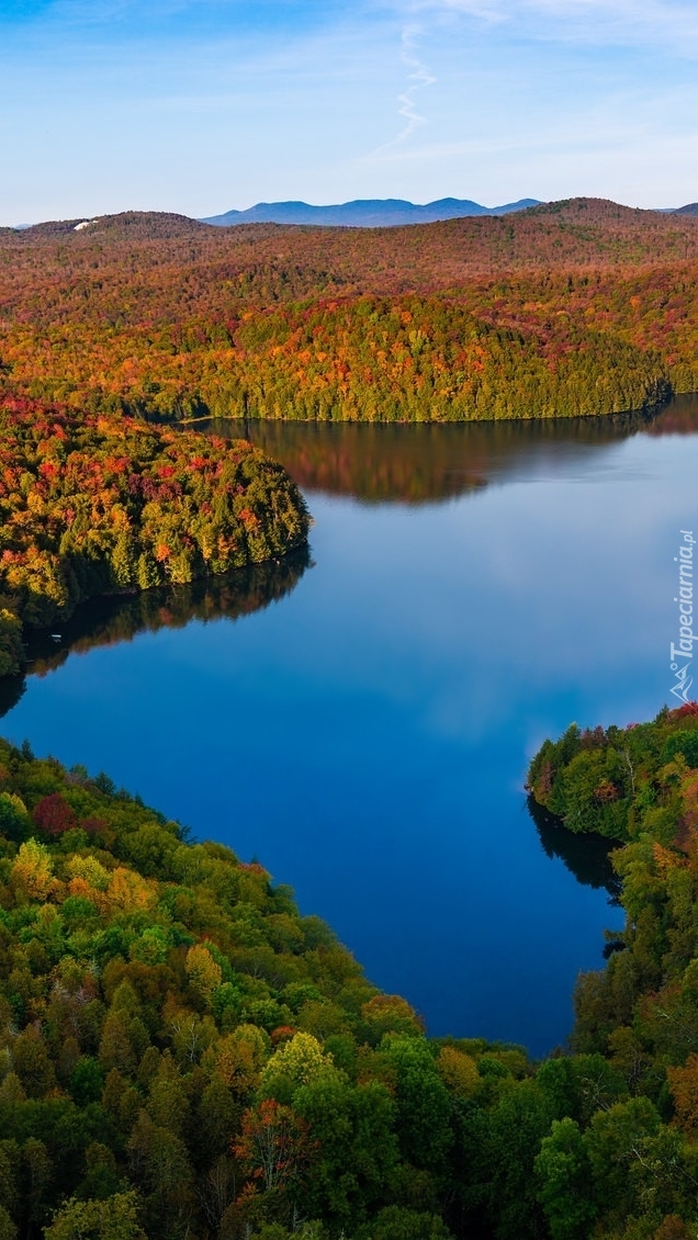 Jezioro pośród jesiennych lasów