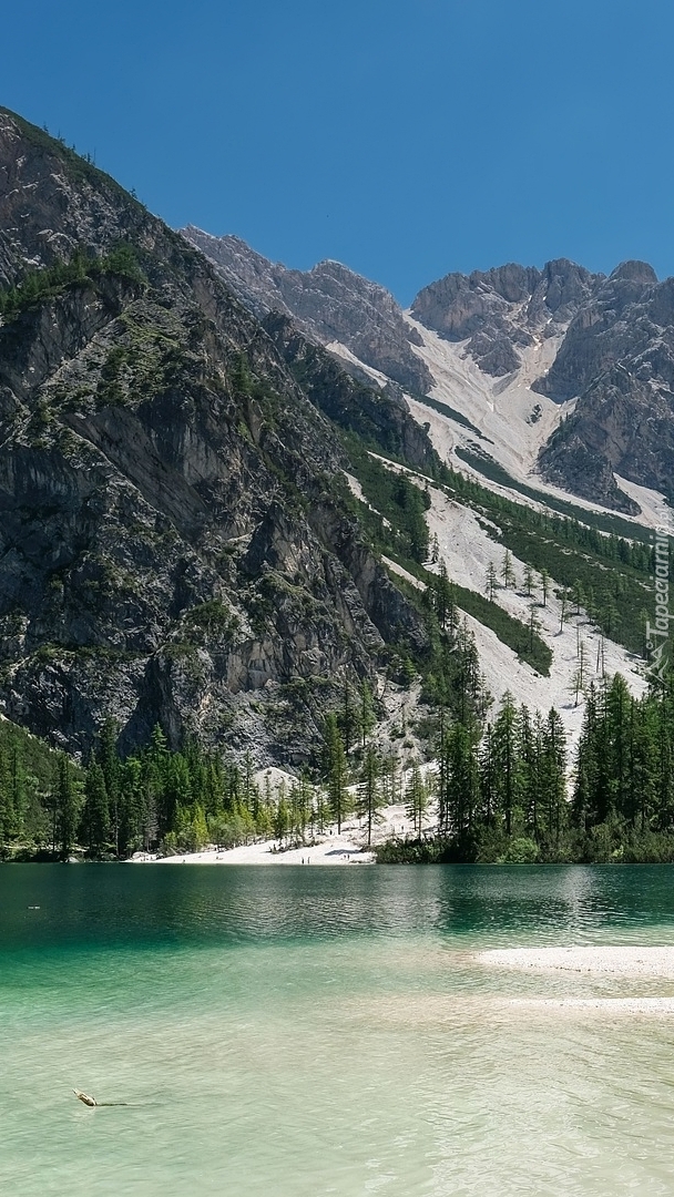 Jezioro Pragser Wildsee w Dolomitach