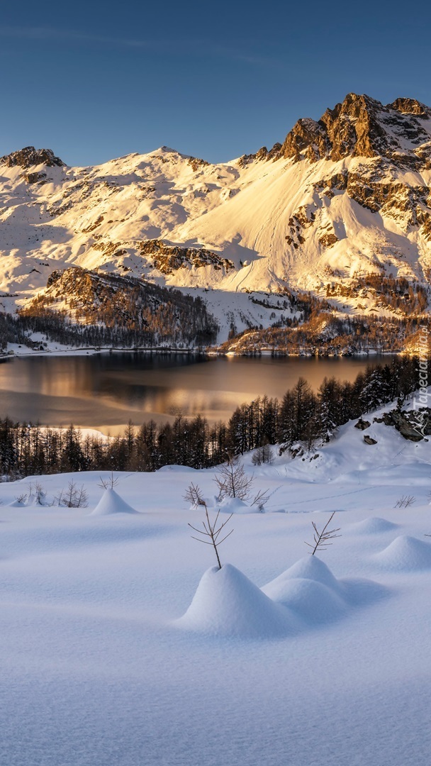 Jezioro Silsersee na tle gór