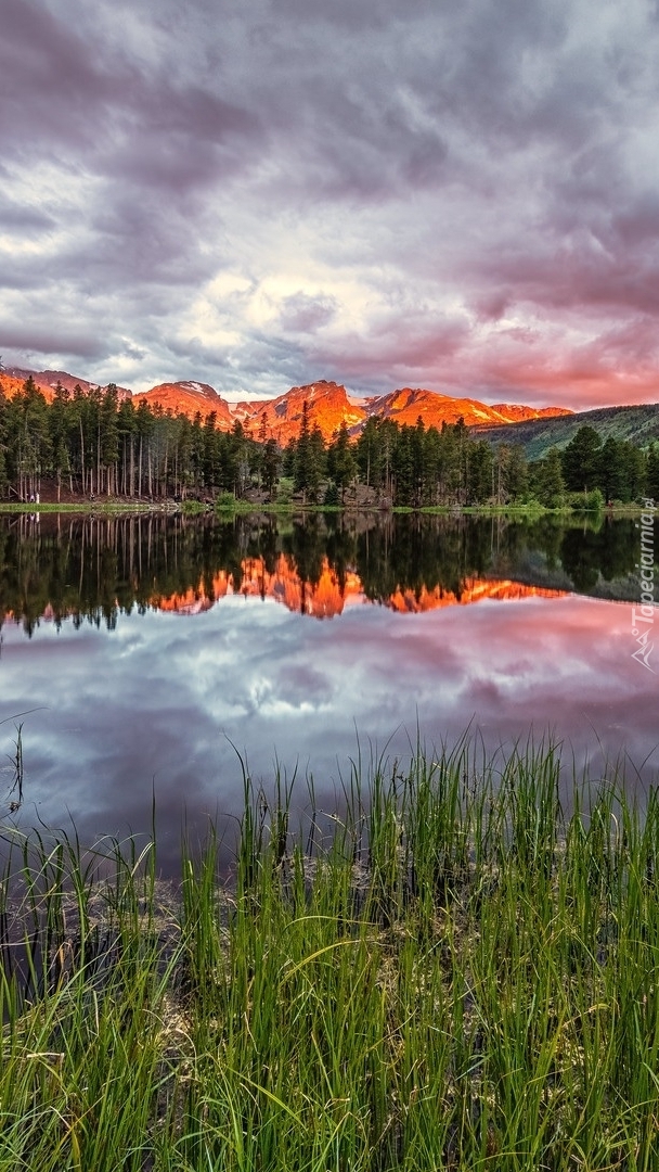 Jezioro Sprague Lake na tle gór