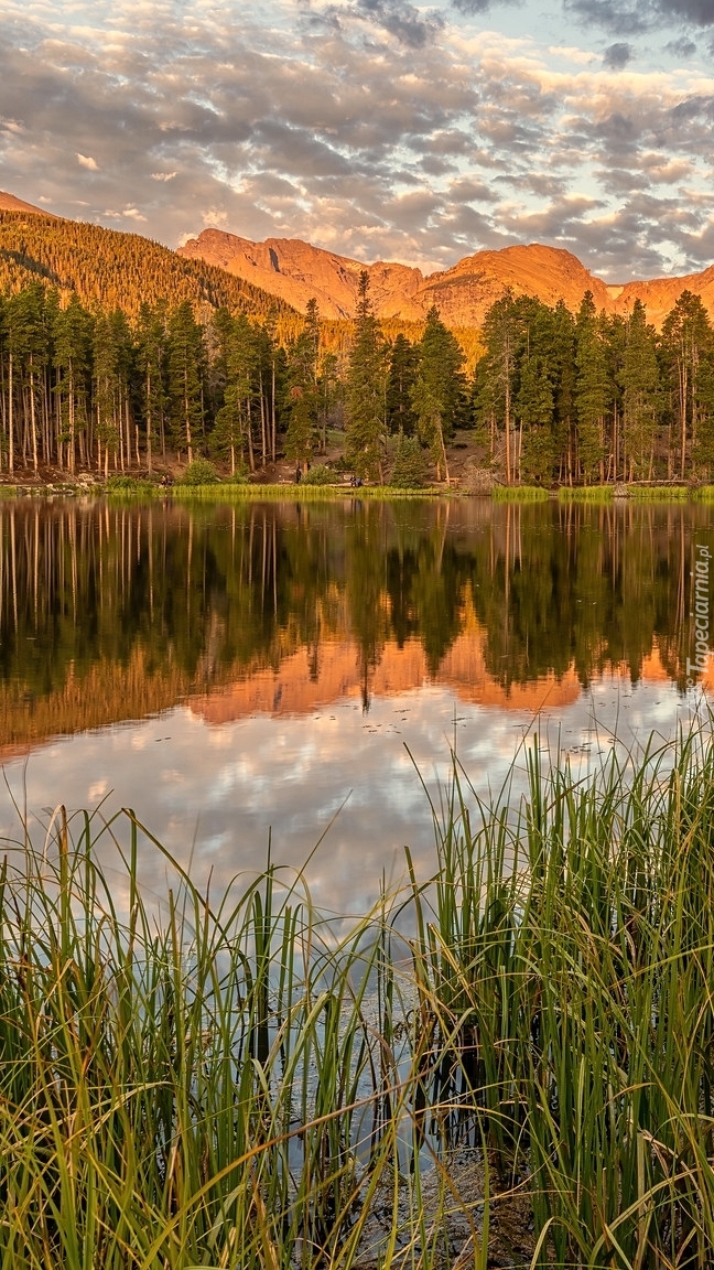 Jezioro Spraque Lake i Góry Skaliste