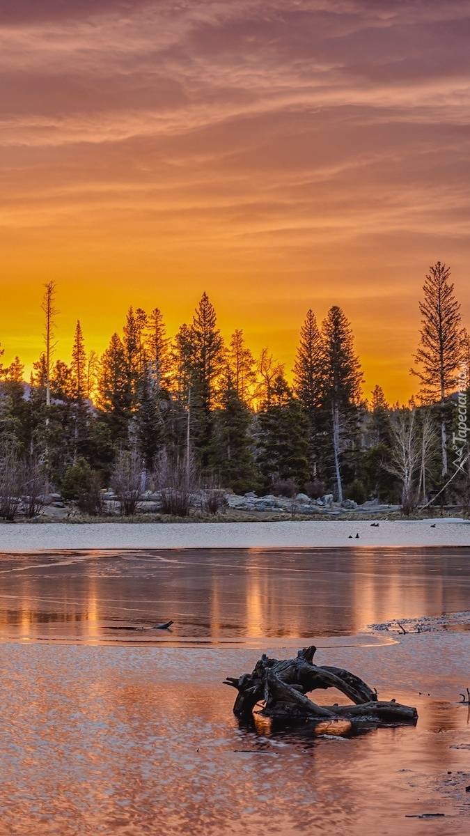 Jezioro Spraque Lake o wschodzie słońca