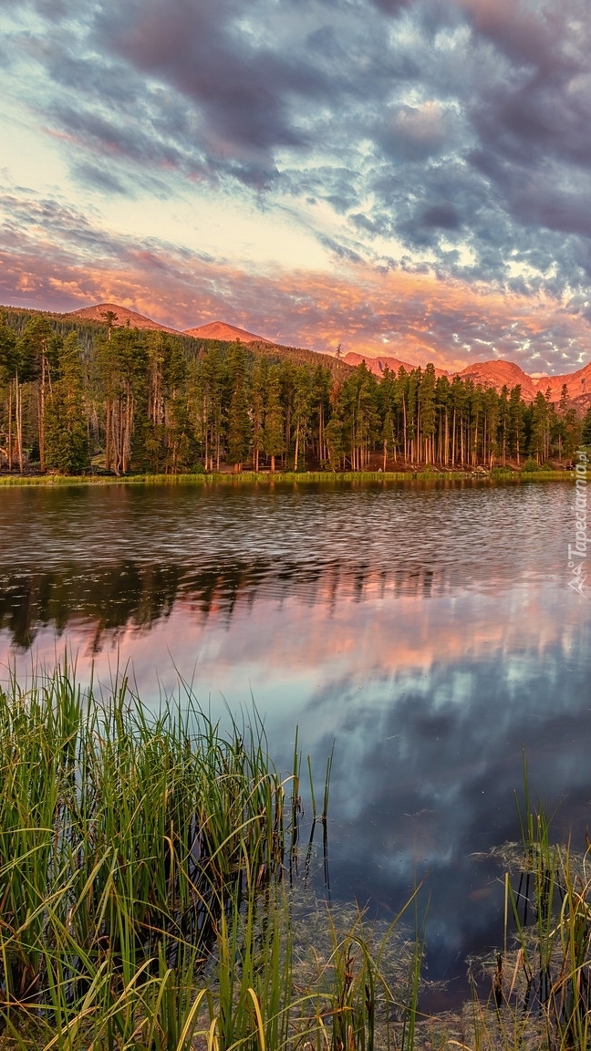 Jezioro Spraque Lake w Górach Skalistych