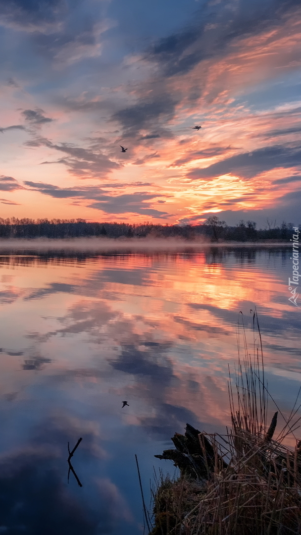 Jezioro Szaturskie o poranku