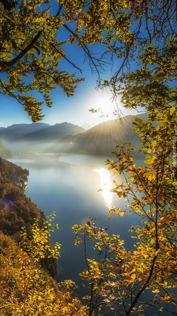 Jezioro Thunersee w porannym słońcu