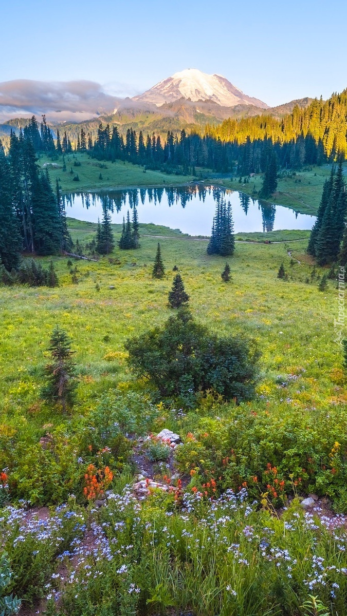 Jezioro Tipsoo Lake i stratowulkan Mount Rainier