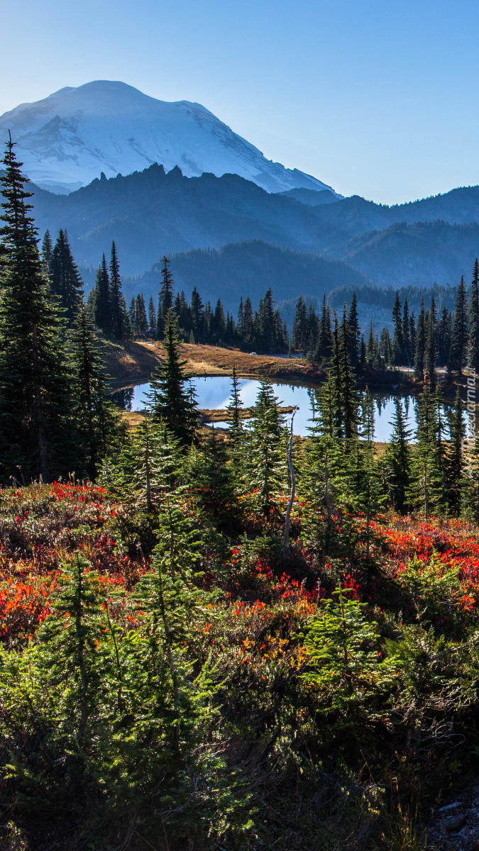 Jezioro Tipsoo Lake i stratowulkan Mount Rainier