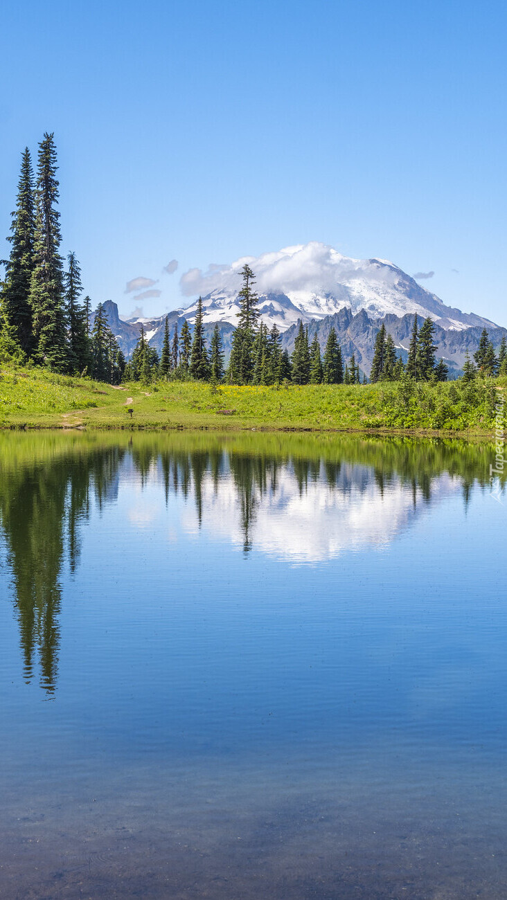 Jezioro Tipsoo Lake