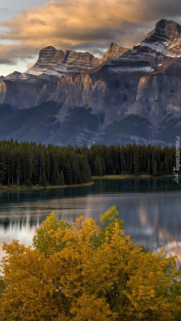 Jezioro Two Jack Lake i góra Mount Rundle