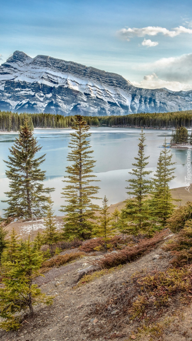 Jezioro Two Jack Lake i góra Mount Rundle