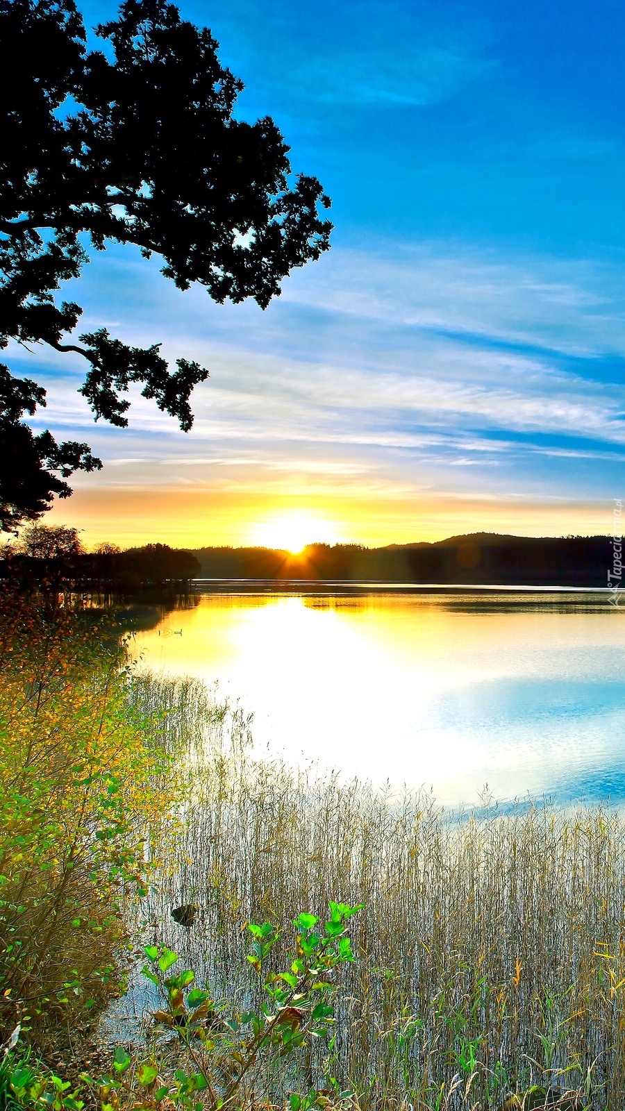 Jezioro w blasku słońca