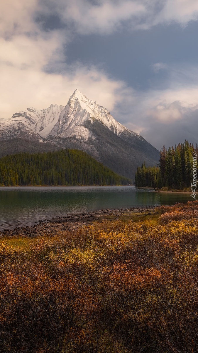 Jezioro w górach Canadian Rockies