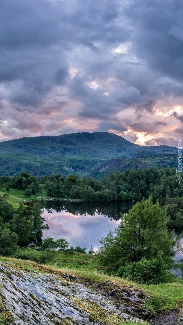 Jezioro w górach i drzewa