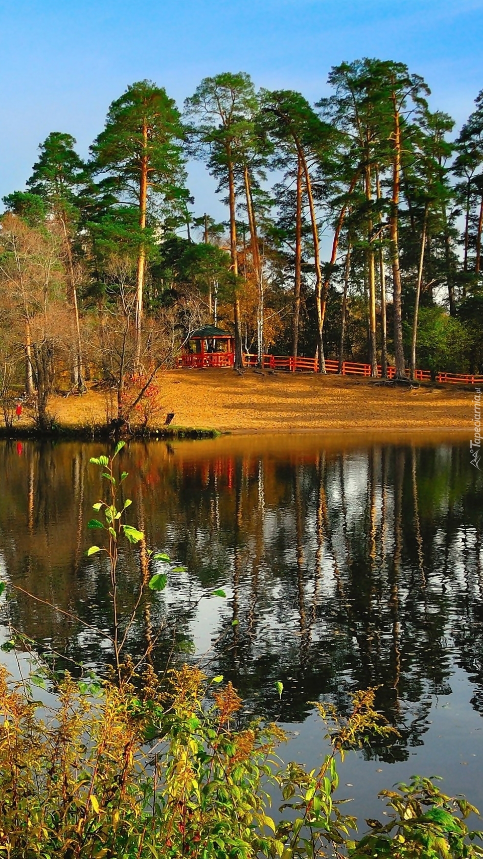 Jezioro w parku