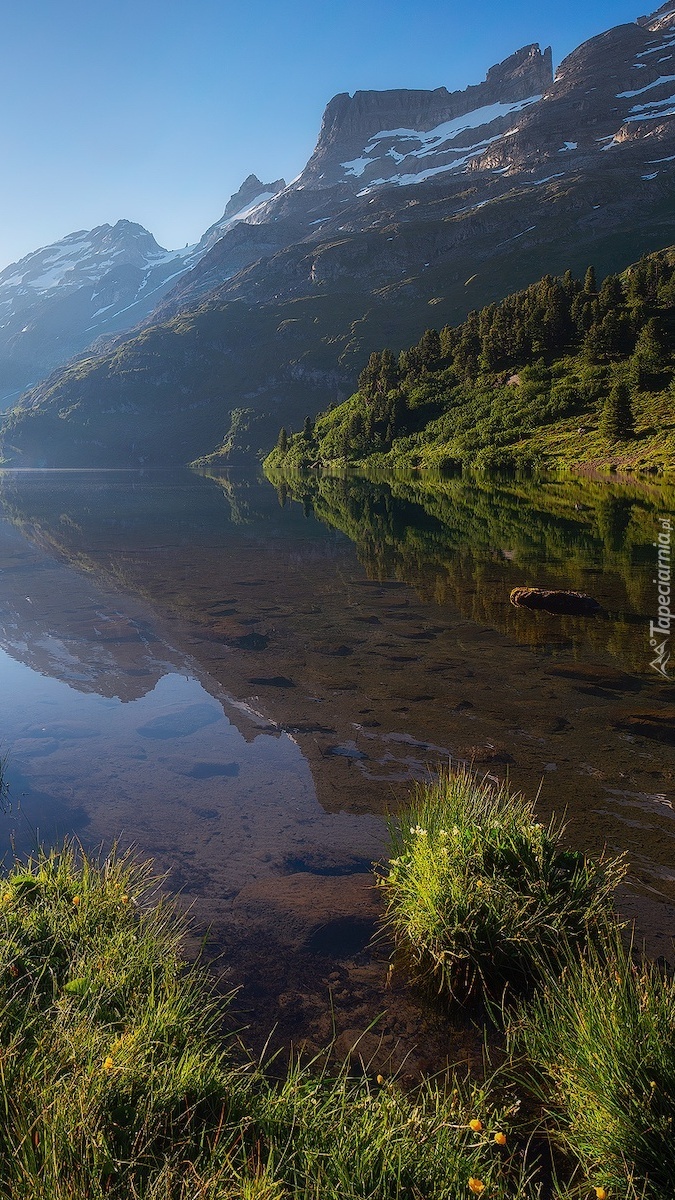 Jezioro w słońcu