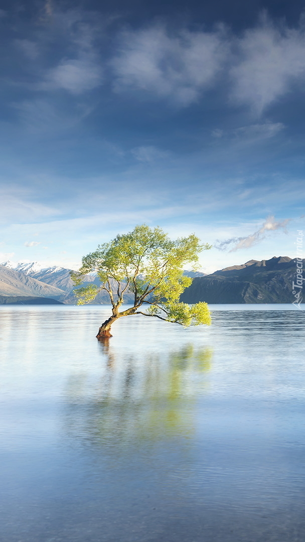 Jezioro Wanaka