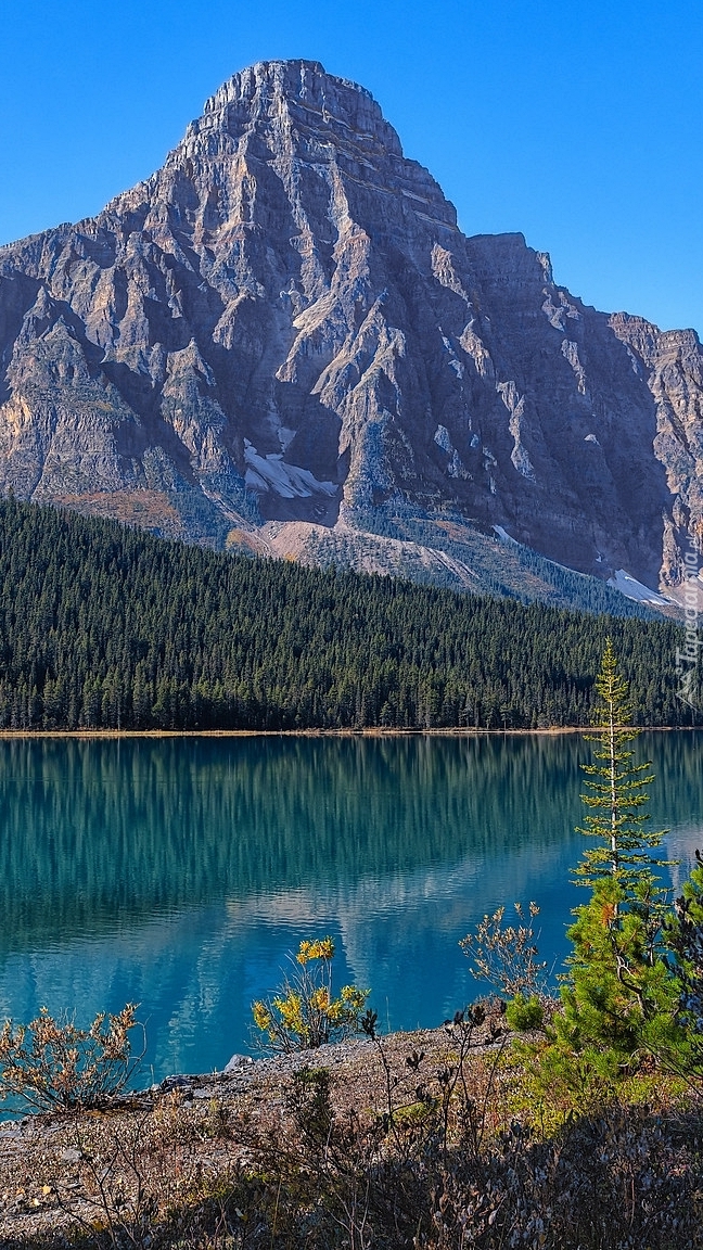 Jezioro Waterfowl Lake i góra Mount Chephren