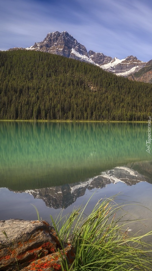 Jezioro Waterfowl Lake i góra Mount Chephren