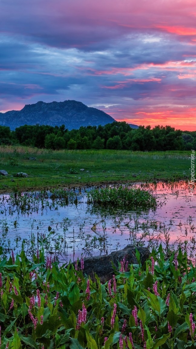 Jezioro Willow Lake w Arizonie