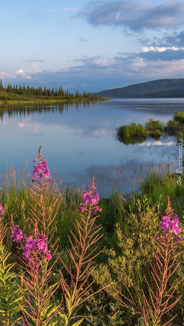 Jezioro Wonder Lake na Alasce