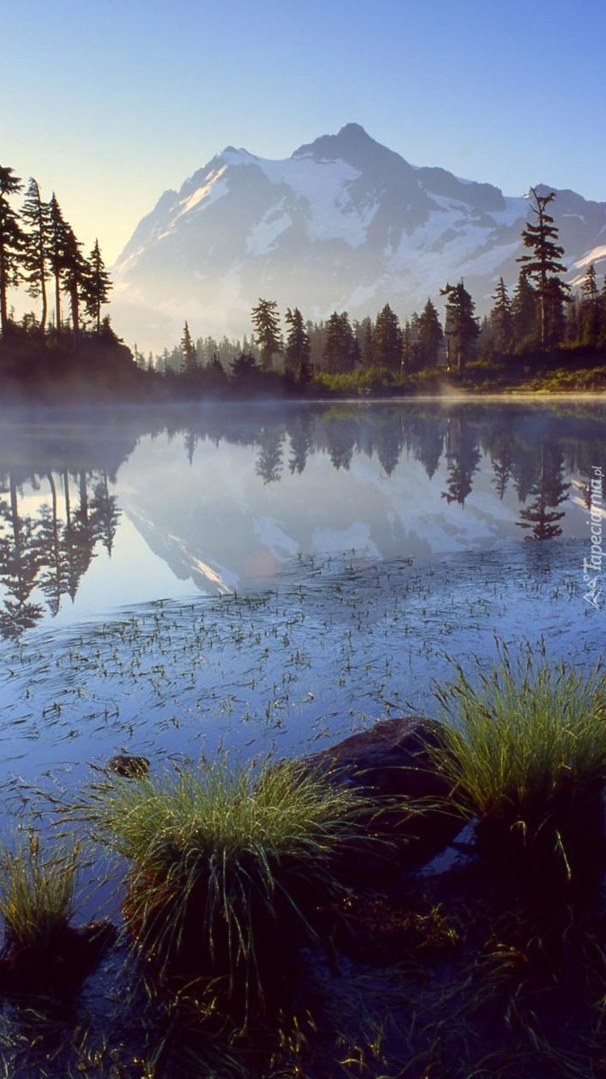 Jezioro z lasem i górami we mgle