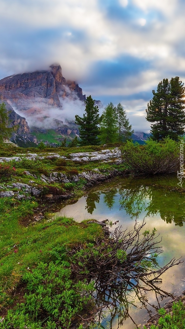 Kałuża i Dolomity we mgle