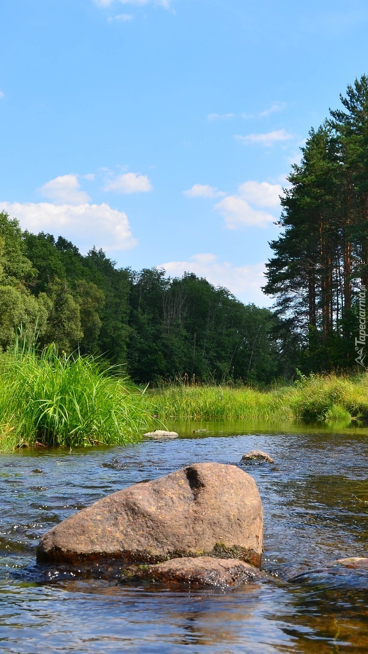 Kamień w rzece