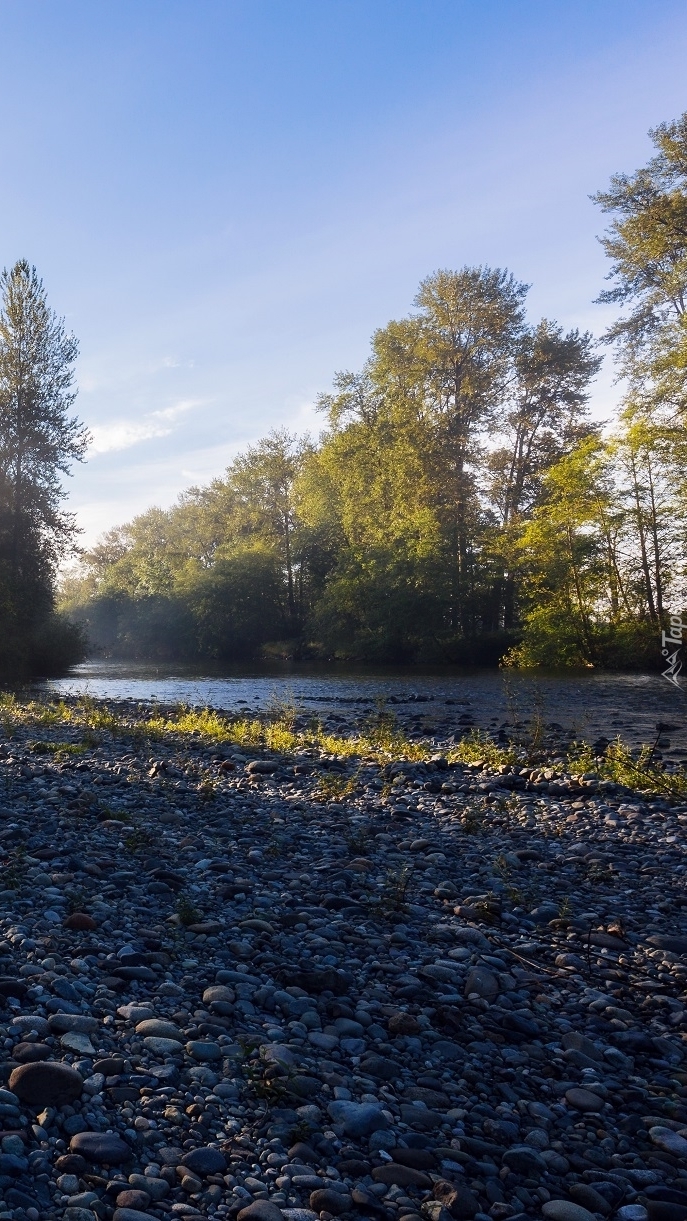 Kamienie na brzegu rzeki