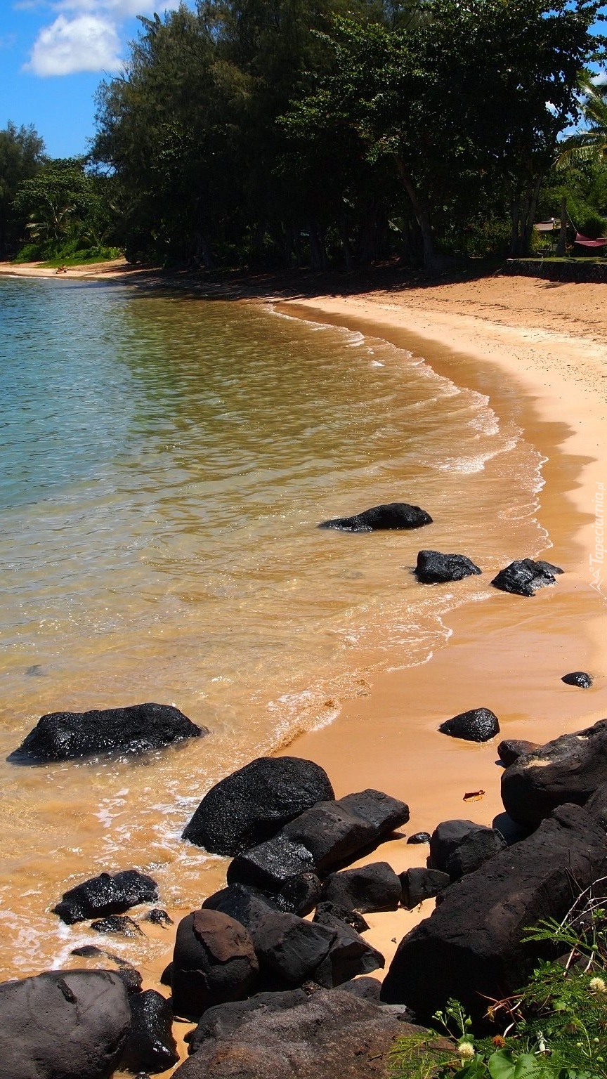 Kamienie na hawajskiej plaży