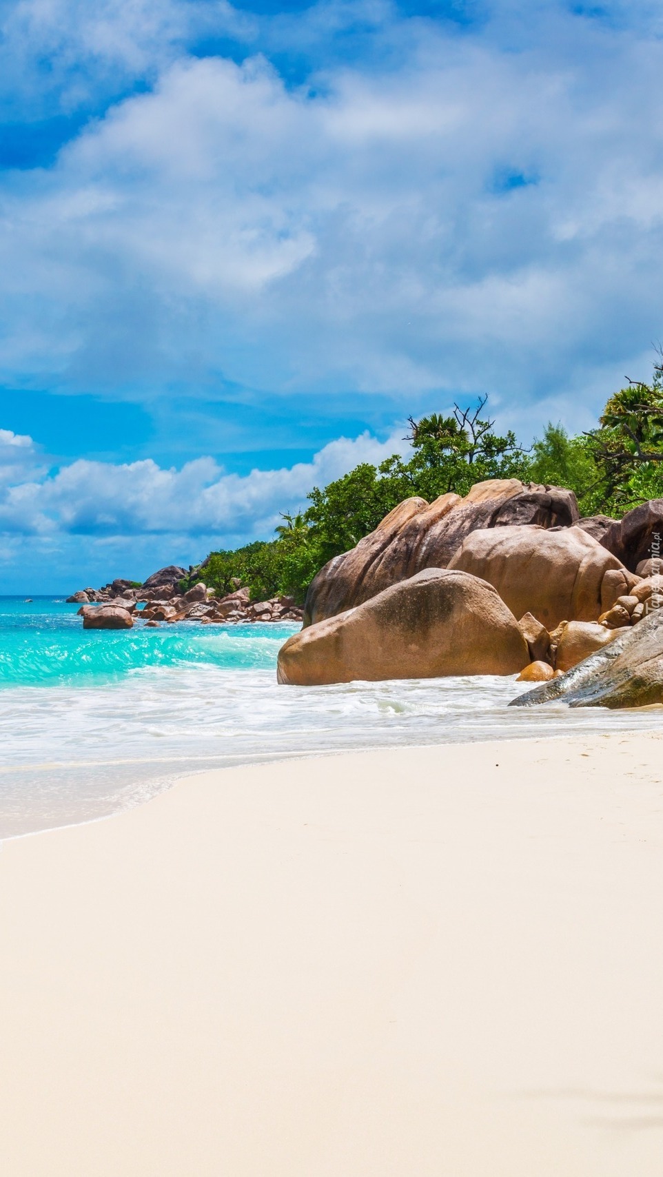 Kamienie na plaży Anse St Jose na Szeszelach