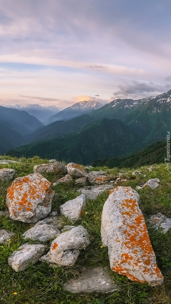 Kamienie na trawie i góry w oddali