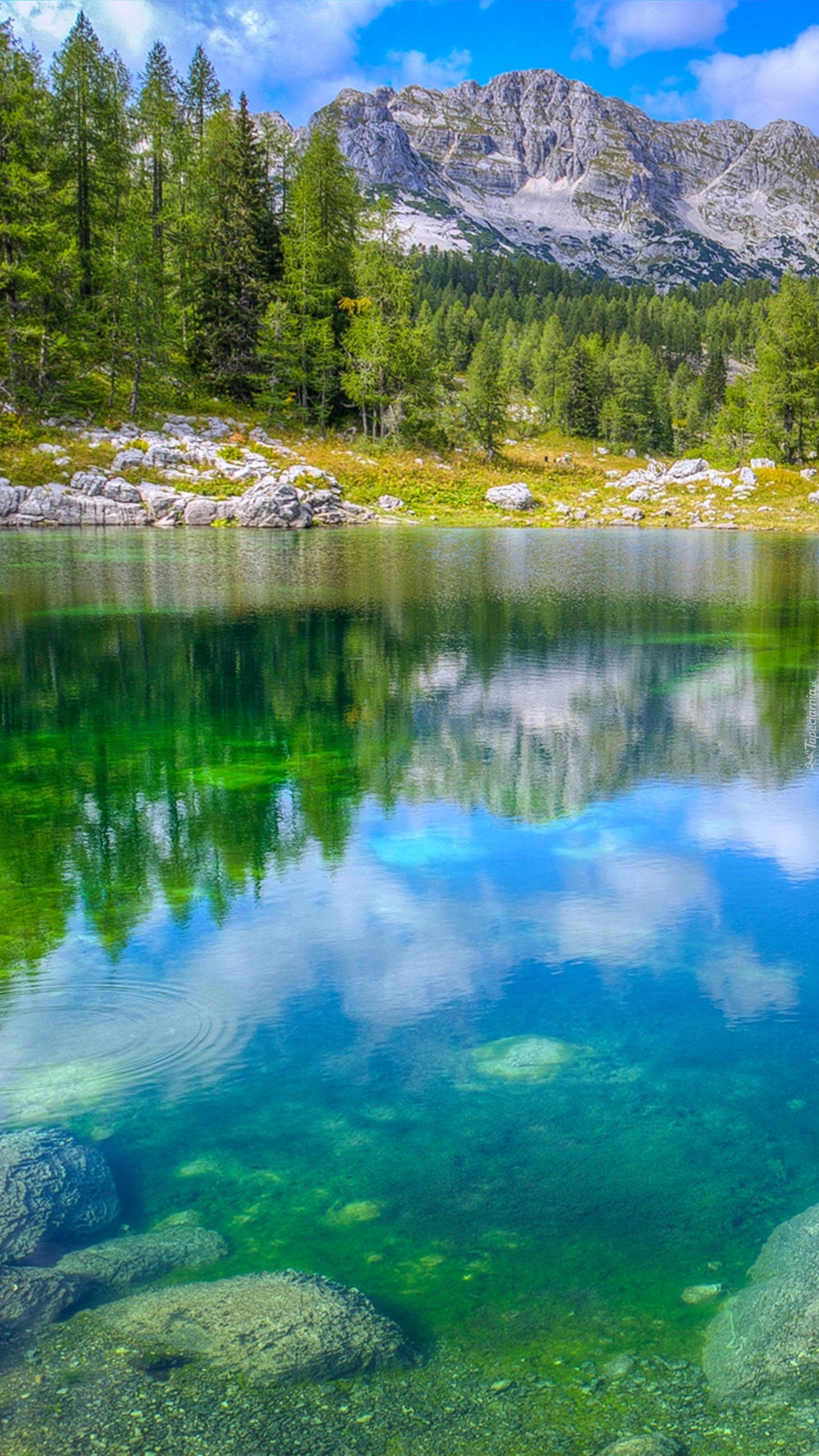 Kamienie nad brzegiem jeziora