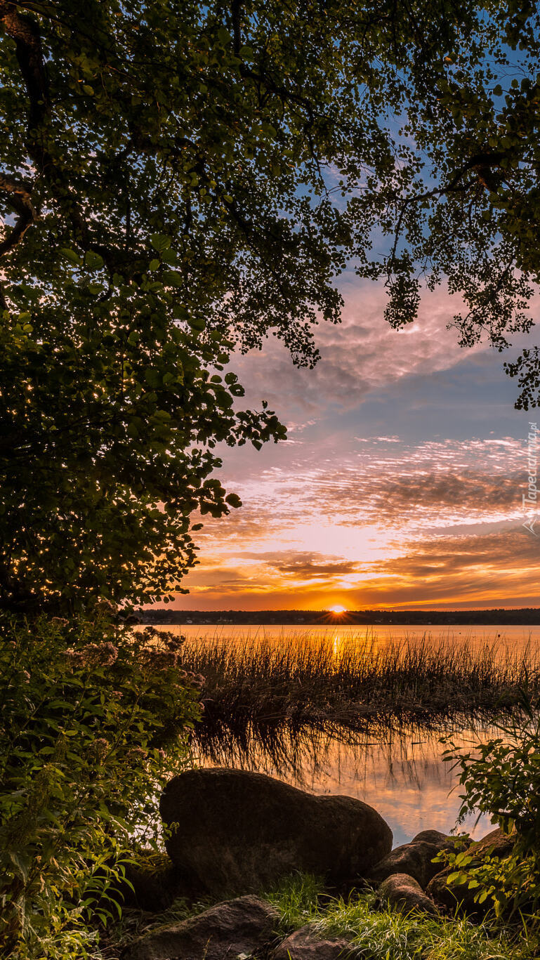 Kamienie nad brzegiem jeziora